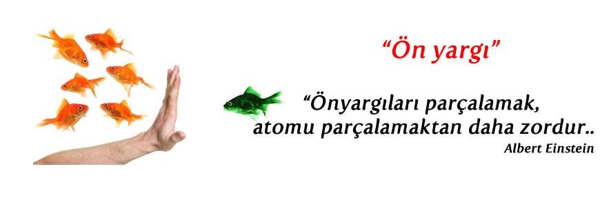 GariplikTalibi's profile banner image