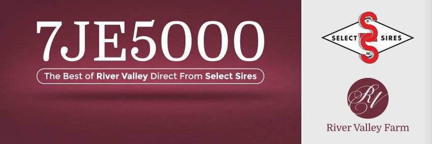 River Valley Farm banner