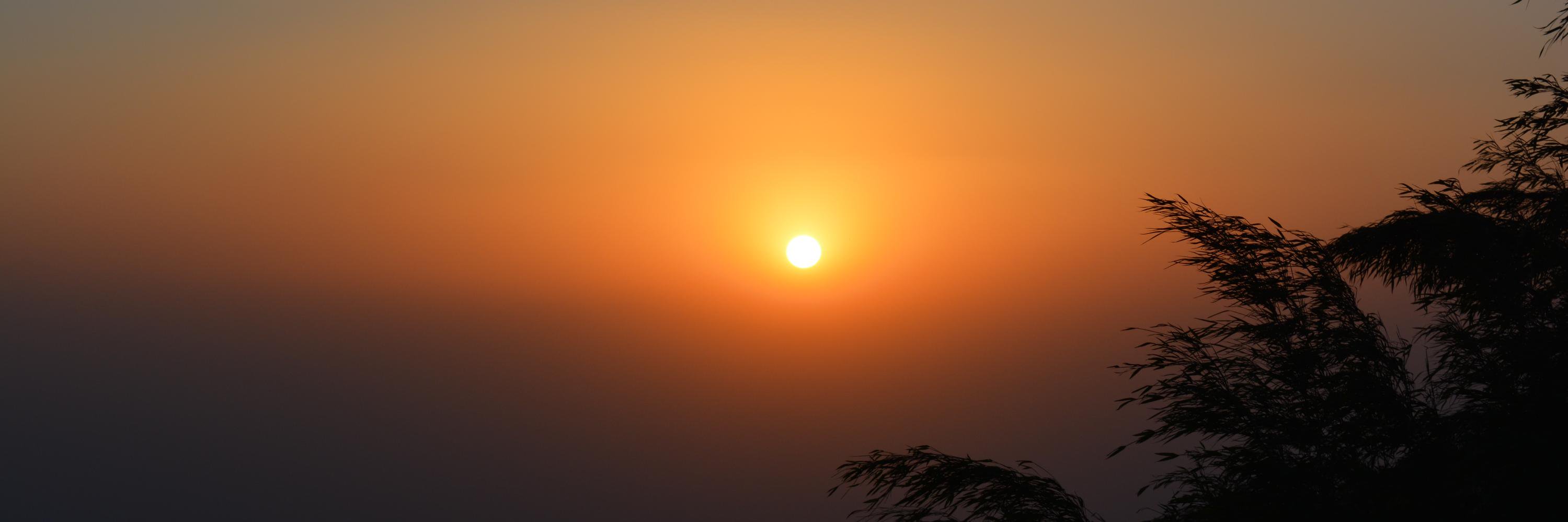 Prasanta2020's profile banner image