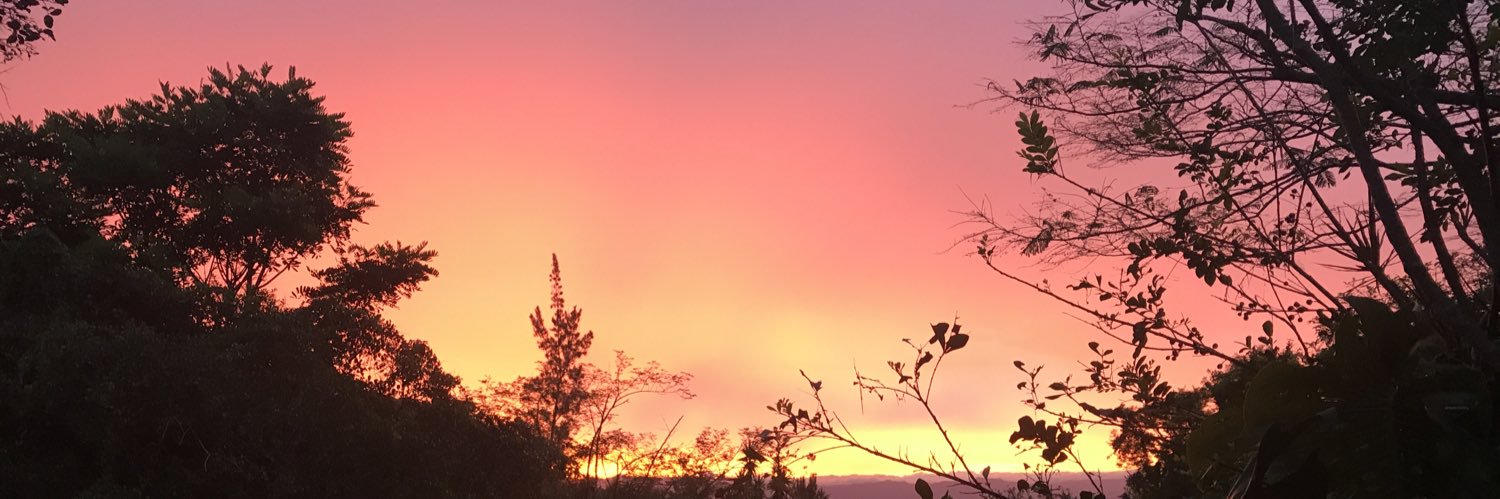 oliviaemiller's profile banner image