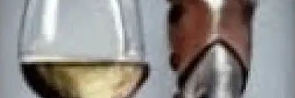 Total Boliguayan Death banner