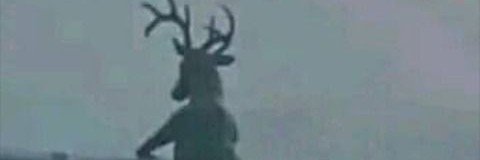 humanovarski's profile banner image