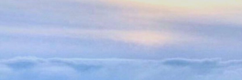 chiipon0830's profile banner image