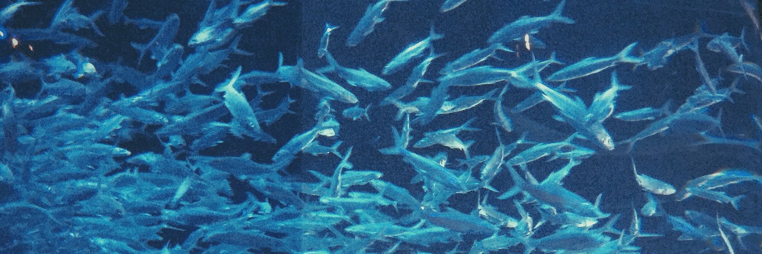 Jusyone's profile banner image