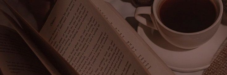 faellinho✨️ banner