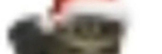 Xesphex_'s profile banner image
