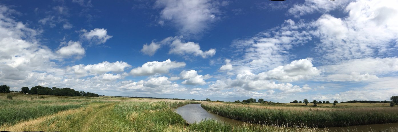 WildAnglia's profile banner image