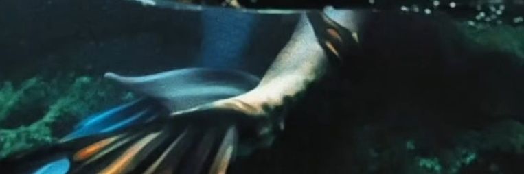 x3 banner
