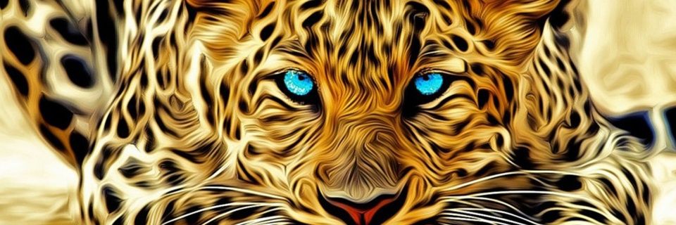 BrandYaritza's profile banner image