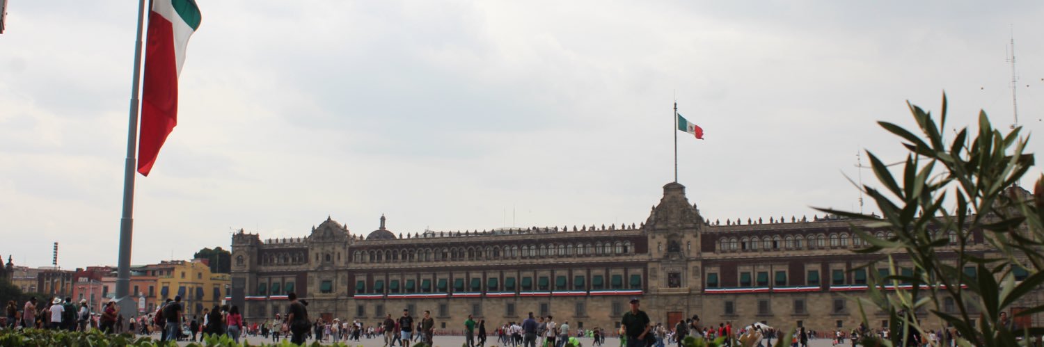 Voice of Mexico's banner