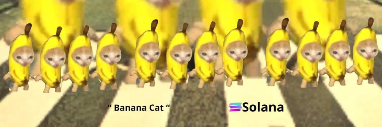 BANANA CAT banner