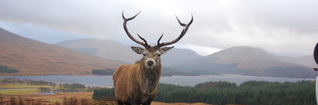 🅰🅻🅰🆃🅰🆈 banner