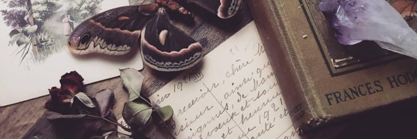 _morguemoth Profile Banner