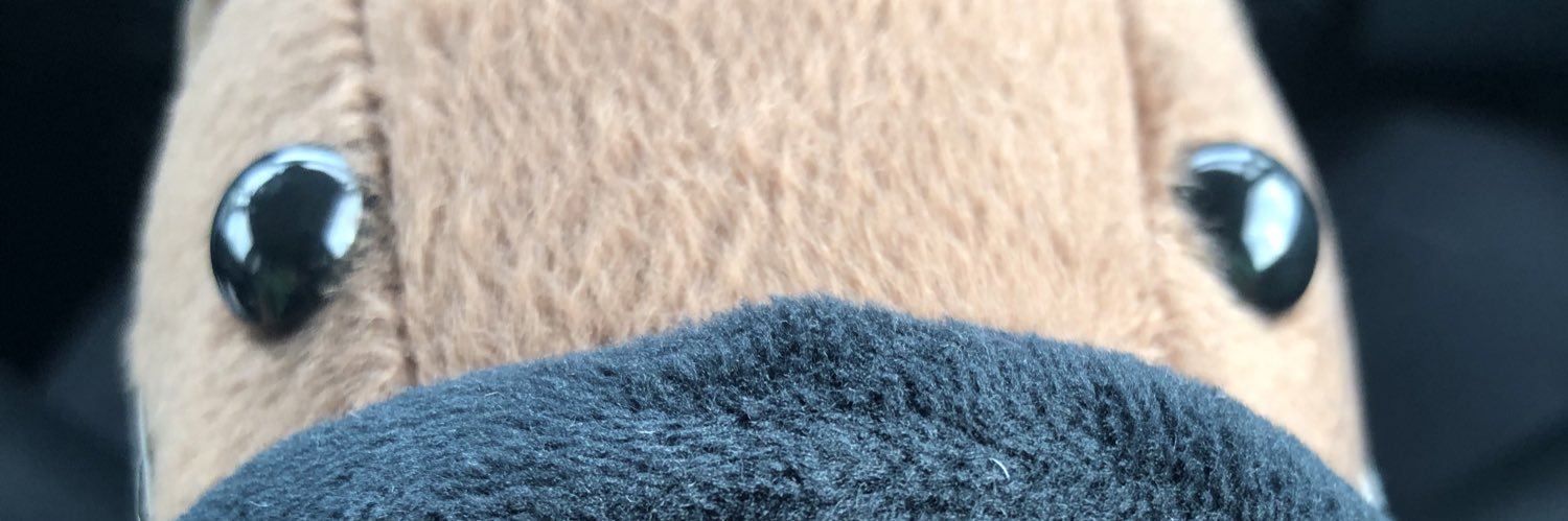 blue_timez's profile banner image