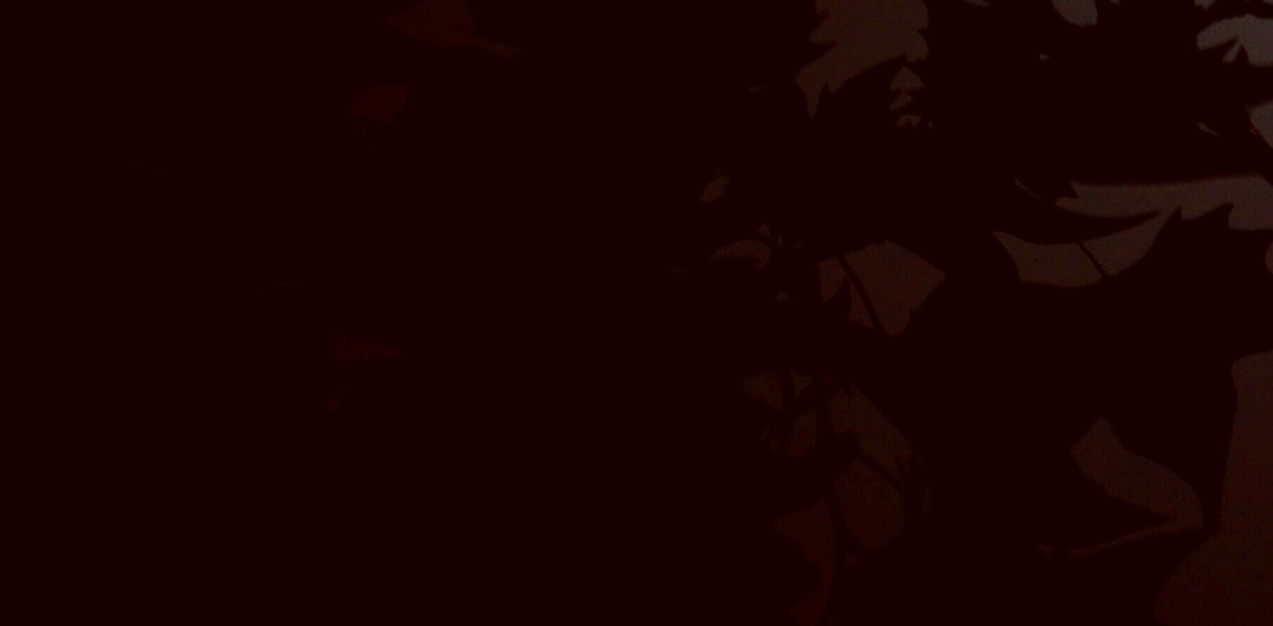 noresuelta's profile banner image