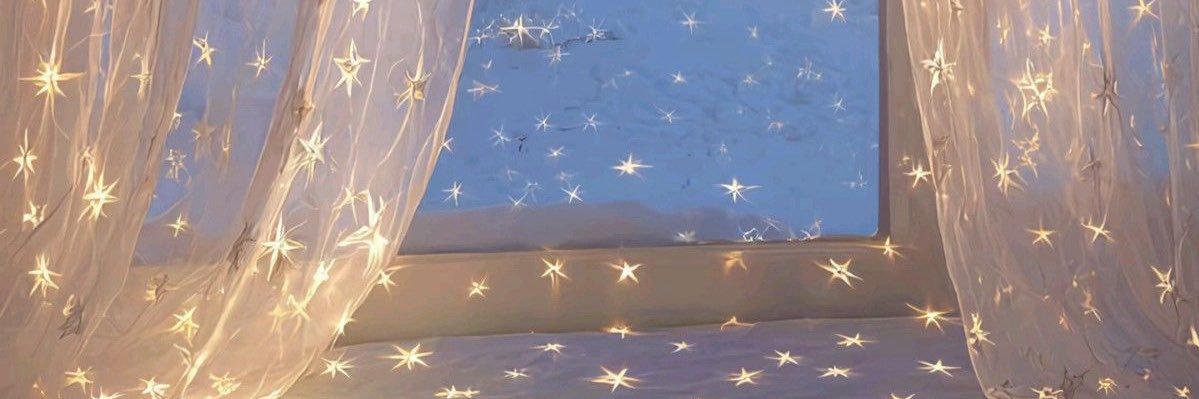 ˚˖𓍢 ִ໋✧ princess banner