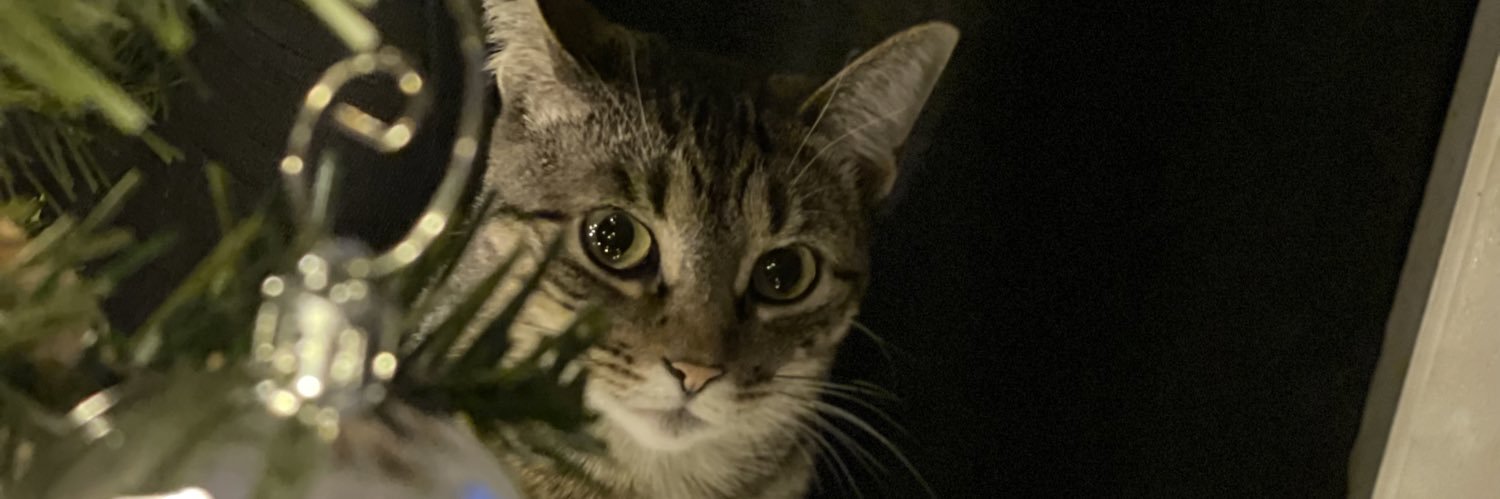 NotKylePotter's profile banner image