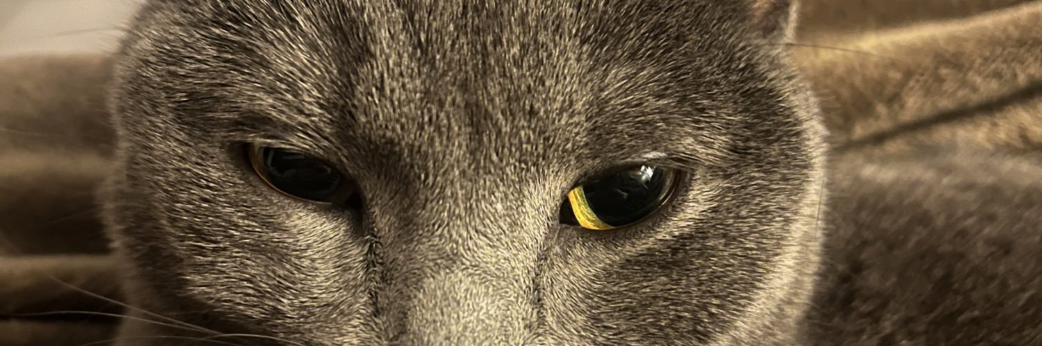 clpasc31's profile banner image