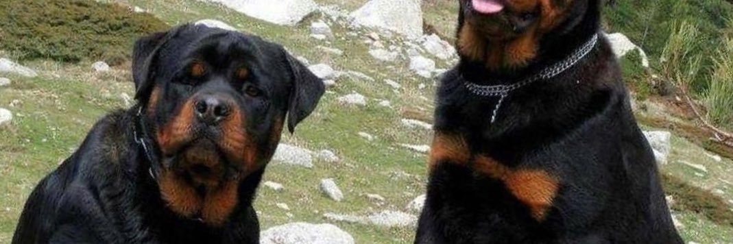 samligunn's profile banner image