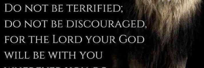 SherBear banner