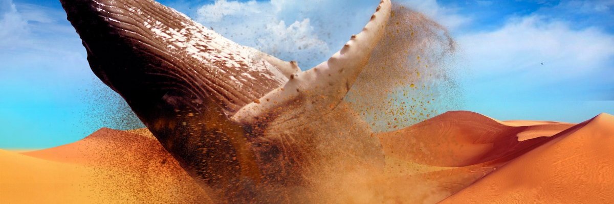 p3t3rini's profile banner image