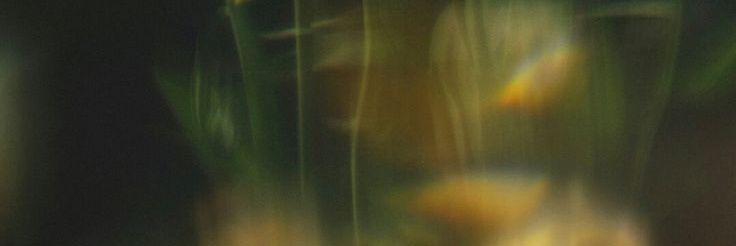 ✪ banner