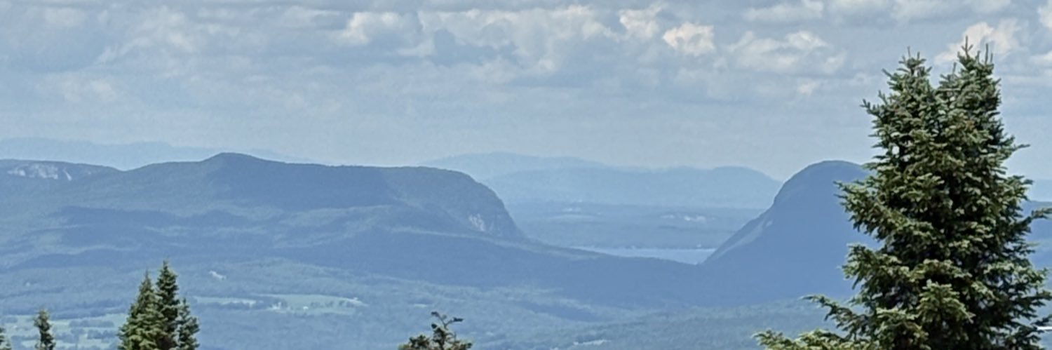 #radandy | #andypanda - Andy Mosedale banner