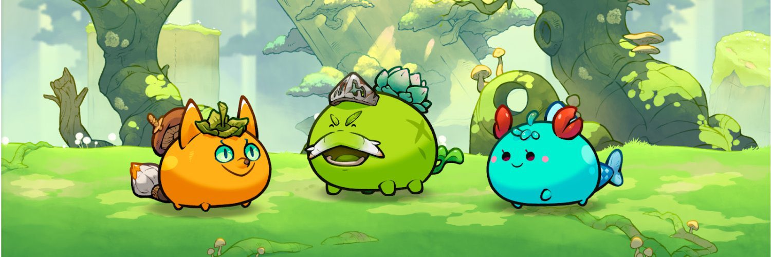 LandichoPaolo's profile banner image