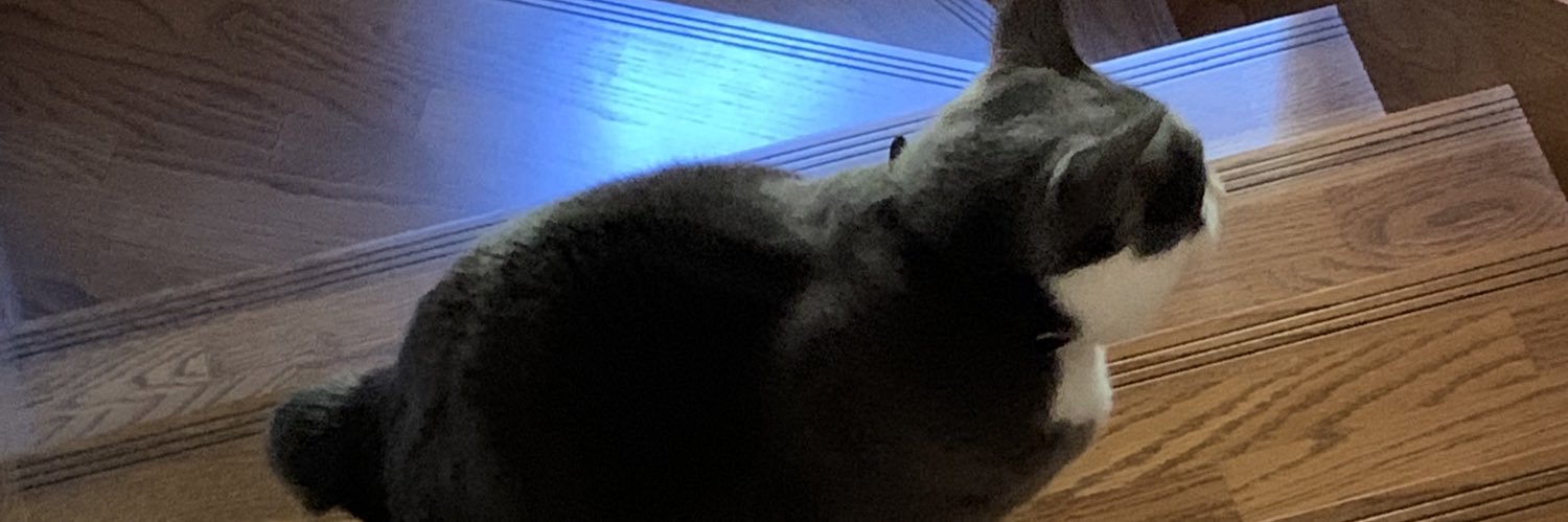 monochroboo's profile banner image