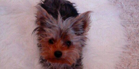 candy022002's profile banner image