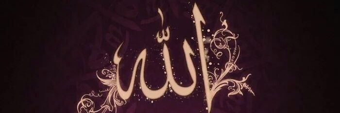 hammammk's profile banner image