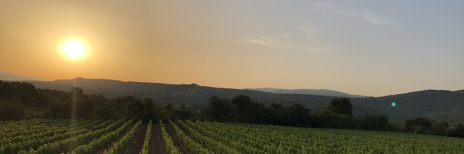 Debbie Showalter banner