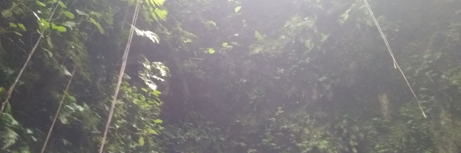 4concervation's profile banner image