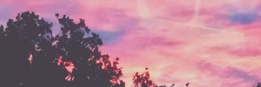 GRDNINE's profile banner image