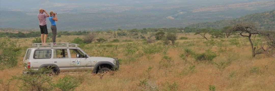 Petra Sumasgutner banner