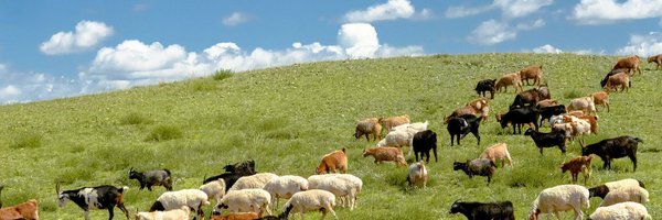 13_friend_kim Profile Banner