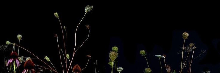 Vlilil_17's profile banner image