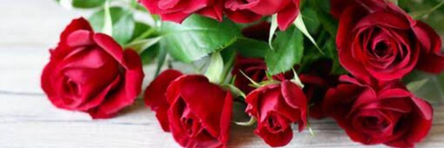 GirlA728's profile banner image