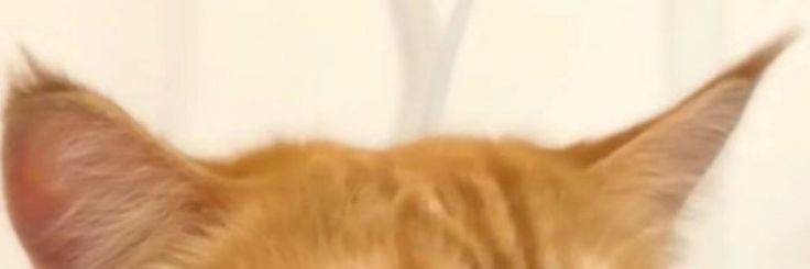 snyipers's profile banner image