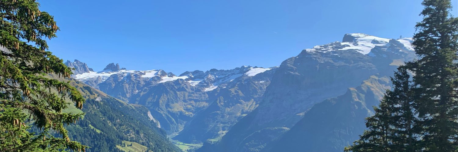 Julia Schedel banner