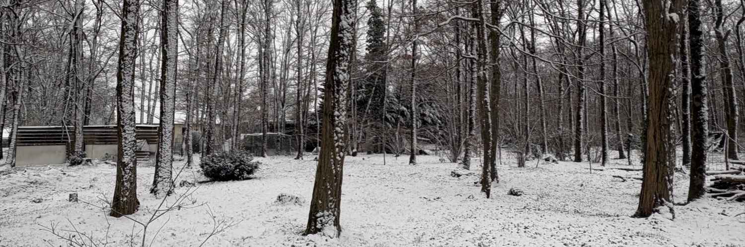 Guigui The King  👑 banner