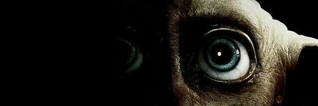 carol. ⚡️ banner
