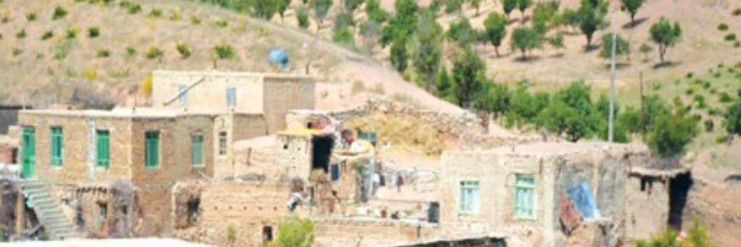 عسل بانو's banner