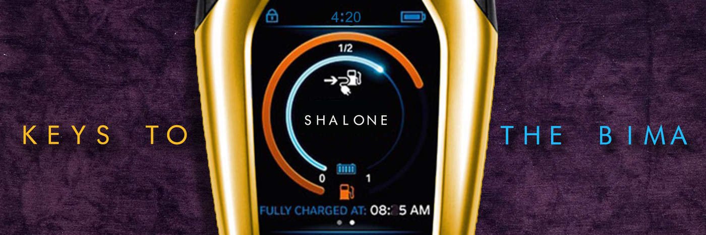 Shalone's profile banner image