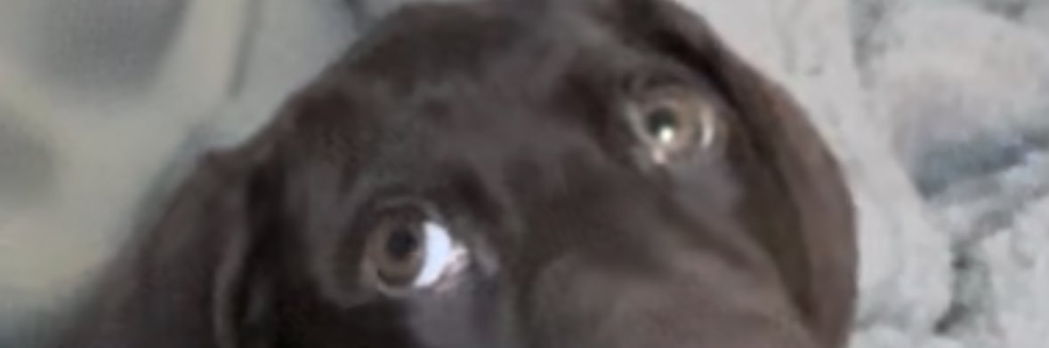 B0NIFACI0's profile banner image