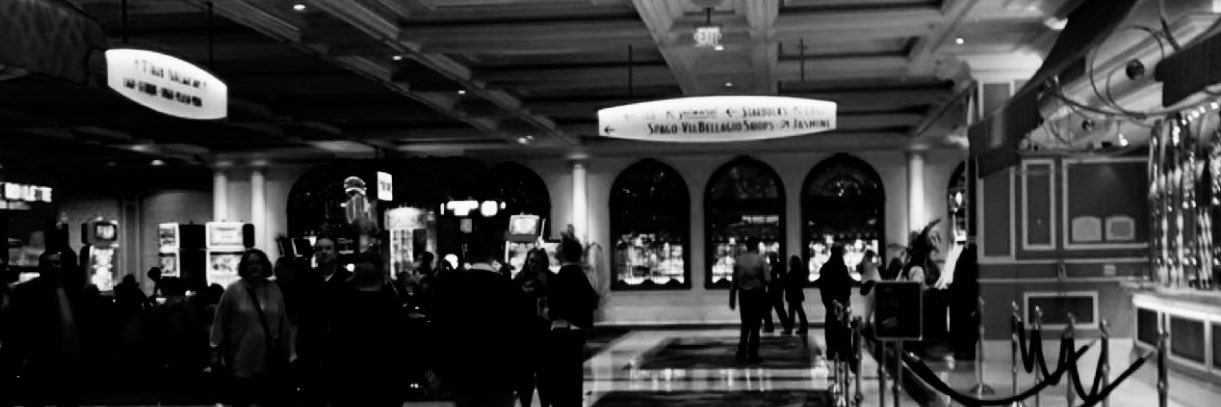 schoitt's profile banner image