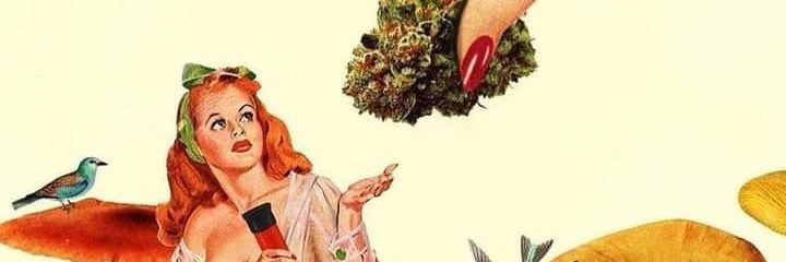 KellyLiih's profile banner image