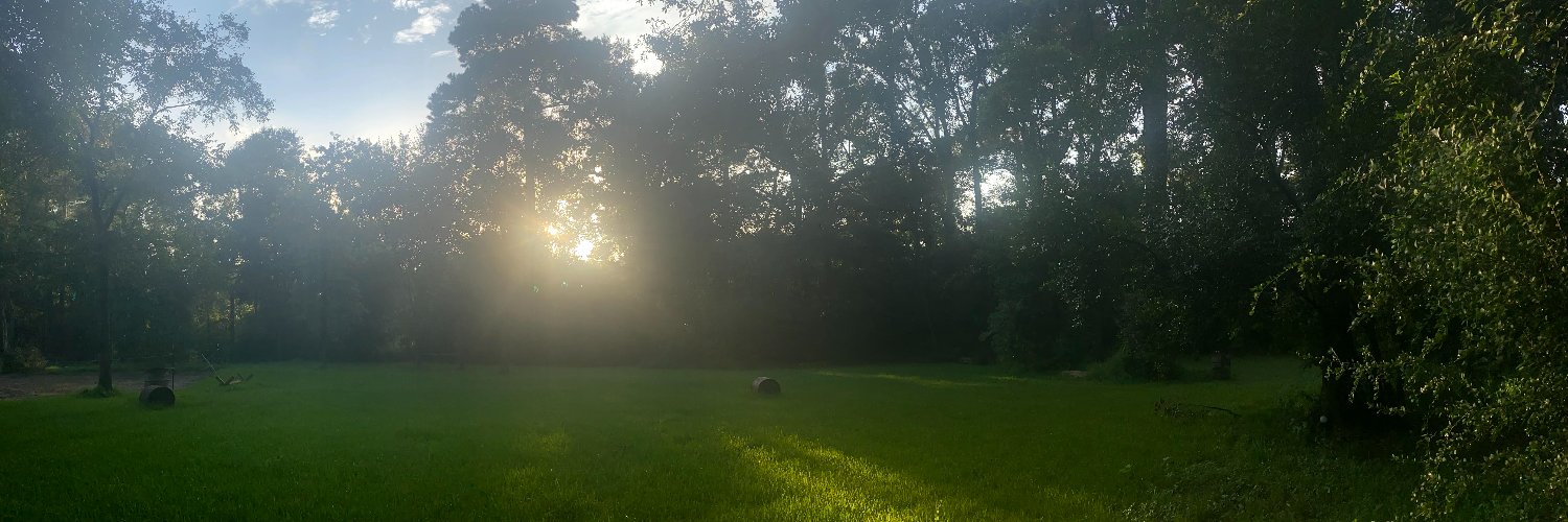 robert graham banner