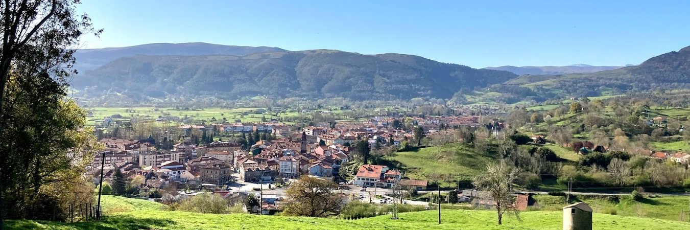 Cabezón de la Sal banner