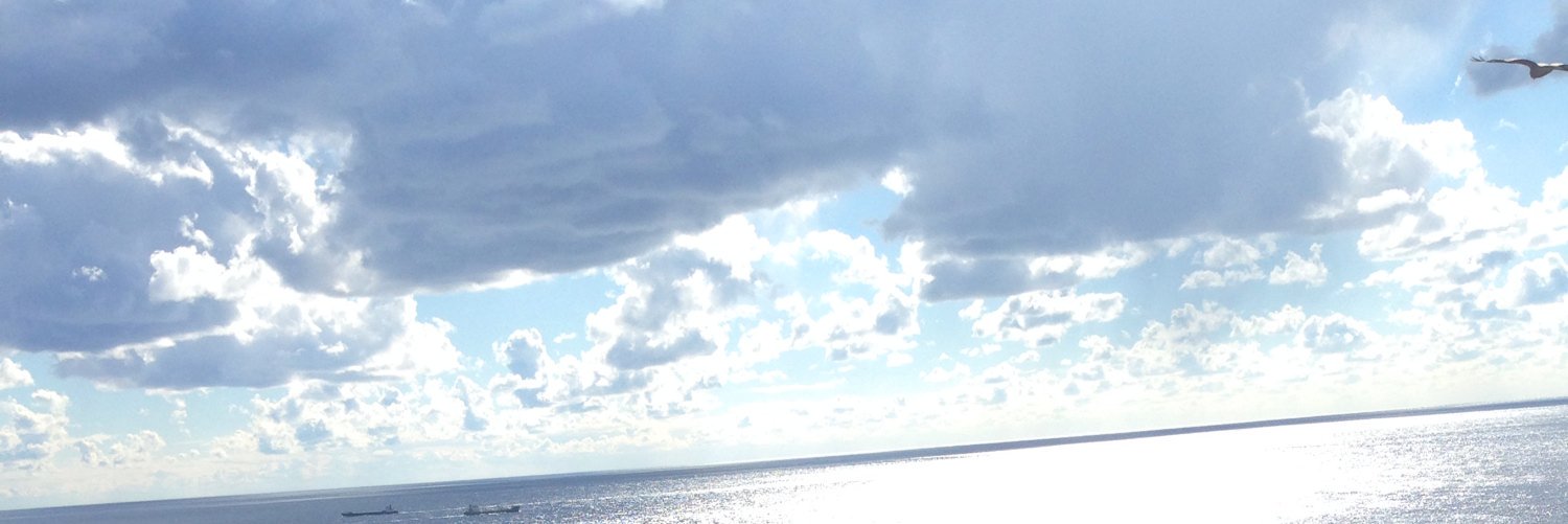 timerabbit00's profile banner image